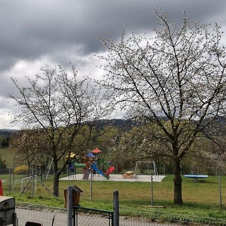 Apartman Sumava U Rybaku Volenice  Buitenkant foto