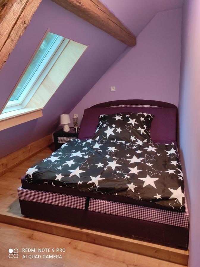 Apartman Sumava U Rybaku Volenice  Buitenkant foto