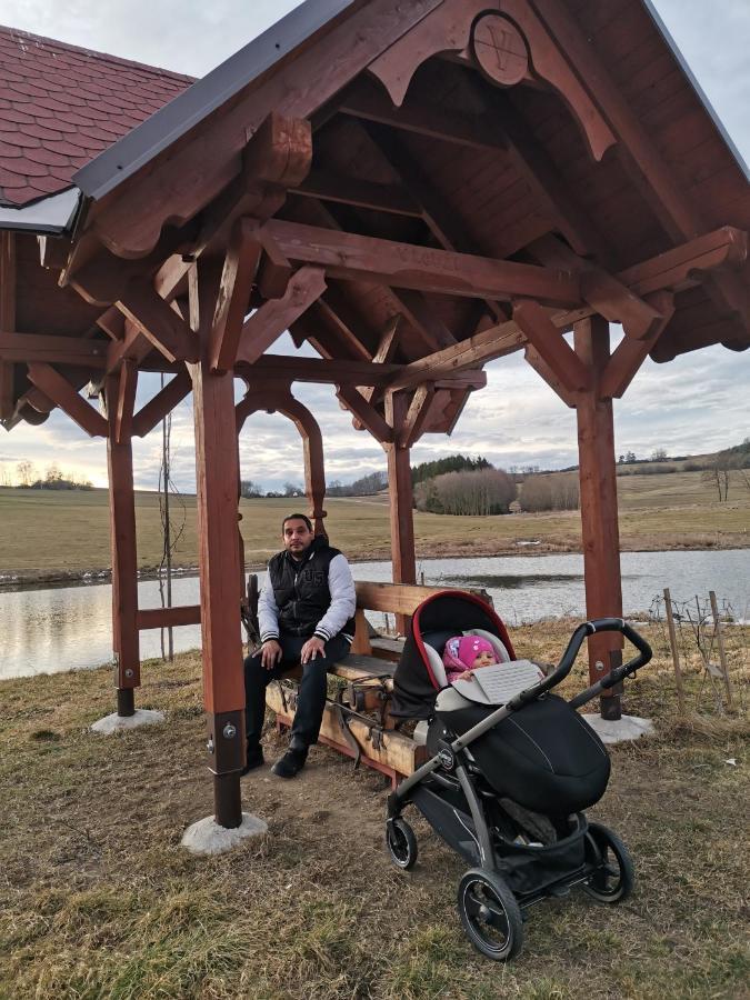 Apartman Sumava U Rybaku Volenice  Buitenkant foto